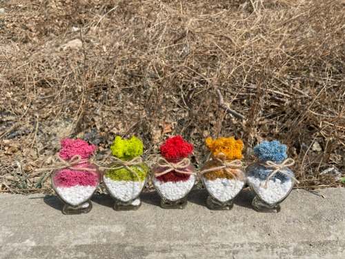 공기정화식물 스칸디아모스 하트 모스 화분 DIY 만들기세트 11 colors